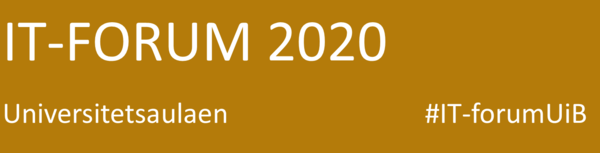 IT-forum 2020 overskrift sennep-brun.png